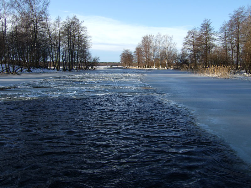Kivini - Fleiviiki