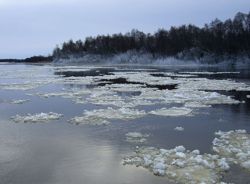 Hyydelauttoja