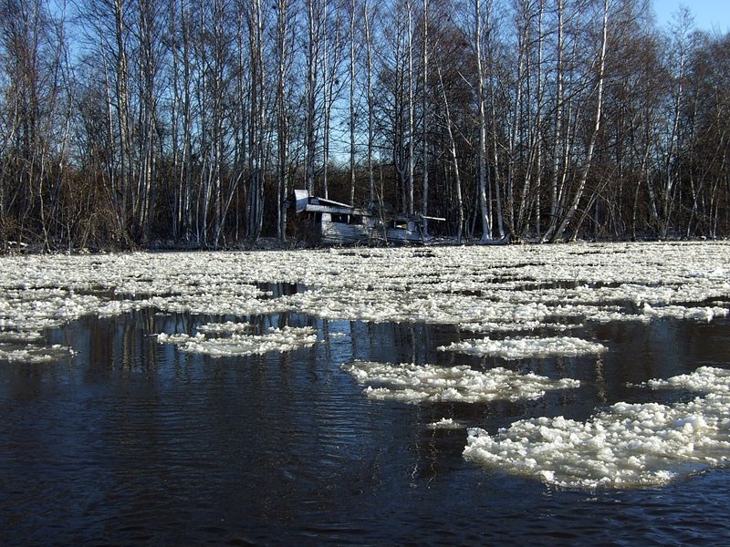 Selk&auml;luodon r&ouml;tisk&ouml;