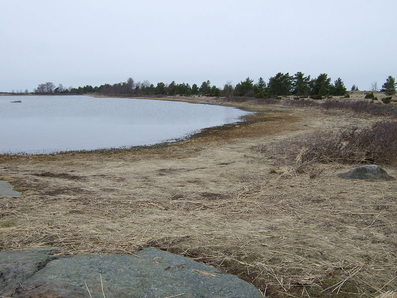 Laguunin pohjoisranta