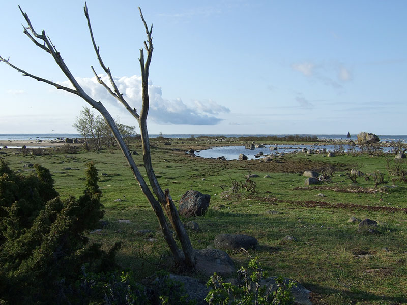 K&auml;rjen etel&auml;ranta