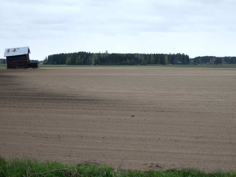 Kurmitsapaikka