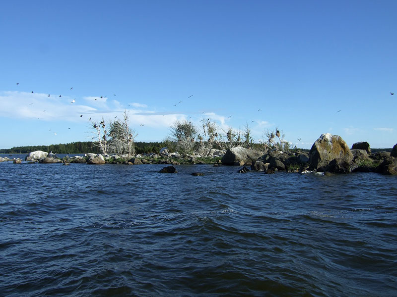Huidumi