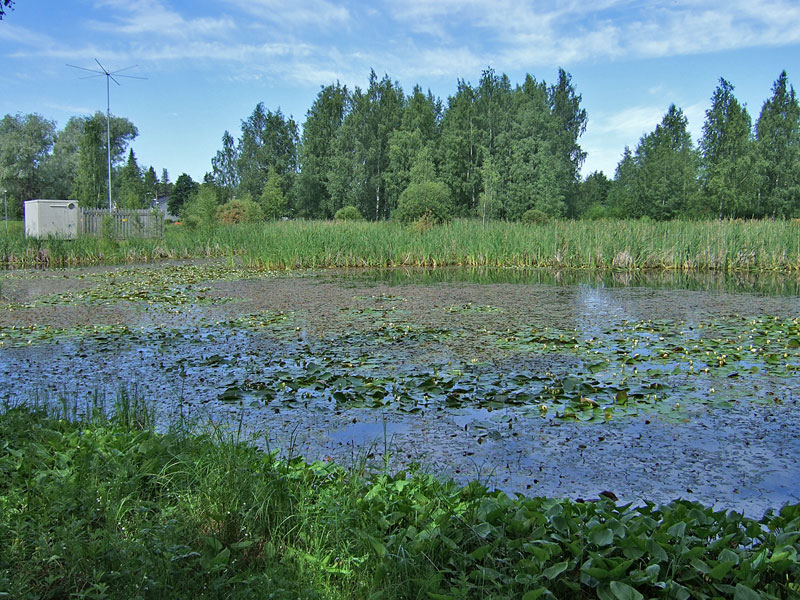 Pesim&auml;lampi