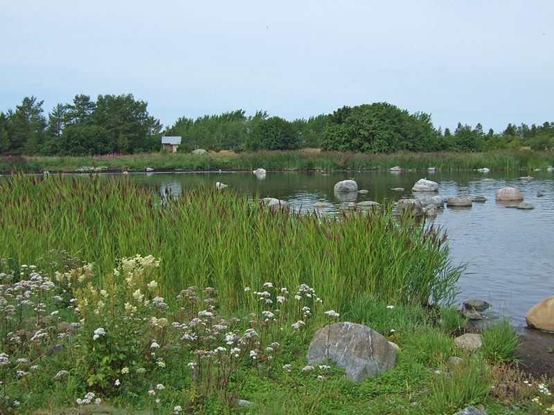 Laguuni