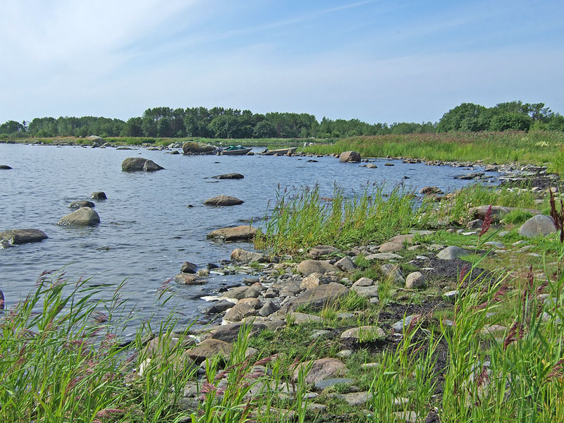 Busterit rannassa