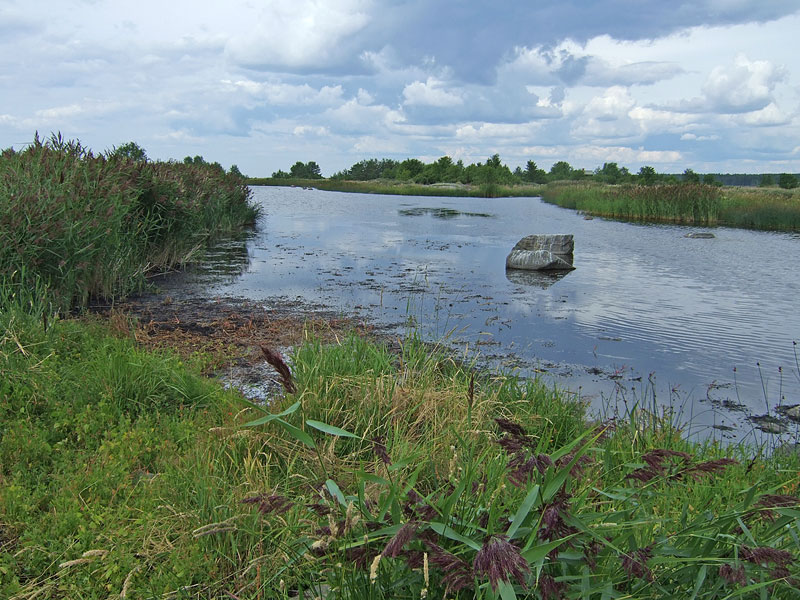 Keskilaguuni