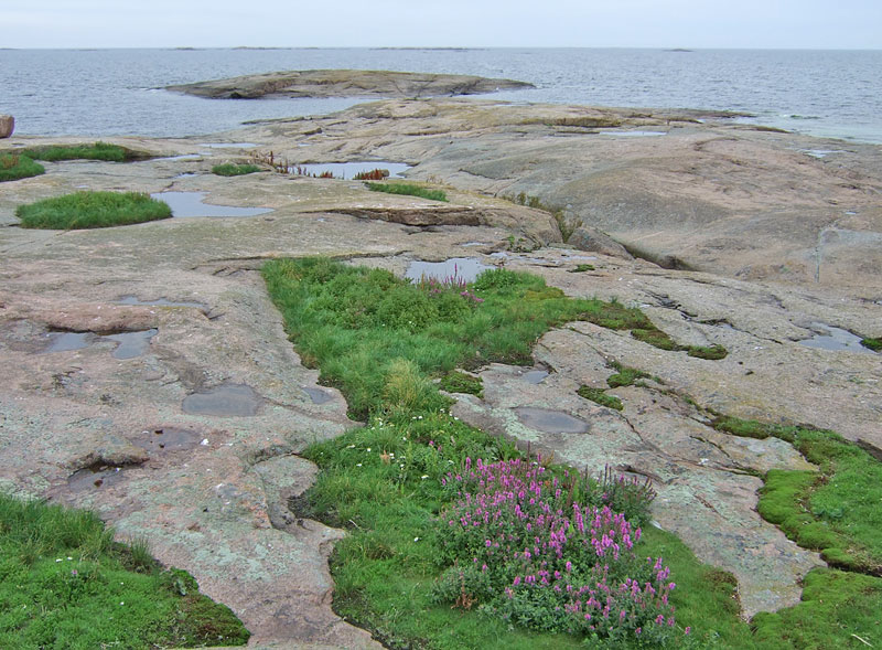 Bergh&aring;ran pohjoiseen