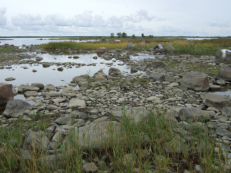 Peipunkarin kivikko