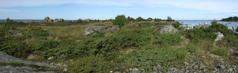Steenkumppoosi