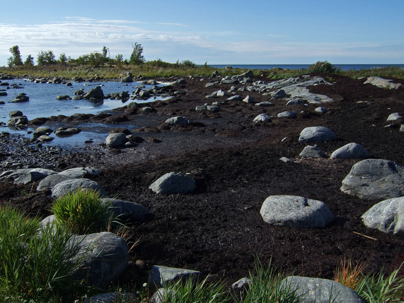 Etel&auml;hauru