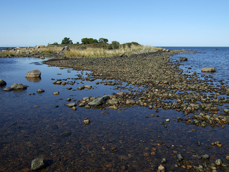 Pihluksens&auml;ikk&auml;