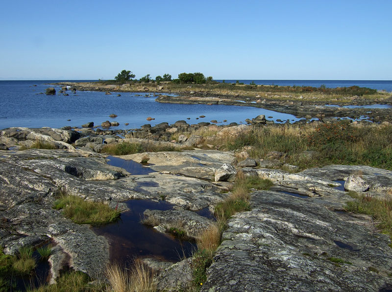 Pihluksens&auml;ikk&auml;