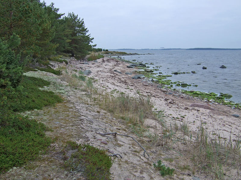 Kallioluoto