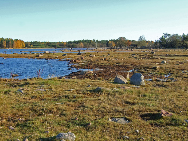 Laguunin rantaa