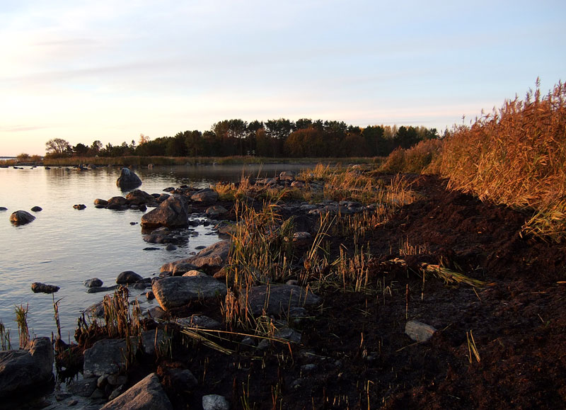 Haurut it&auml;rannalla