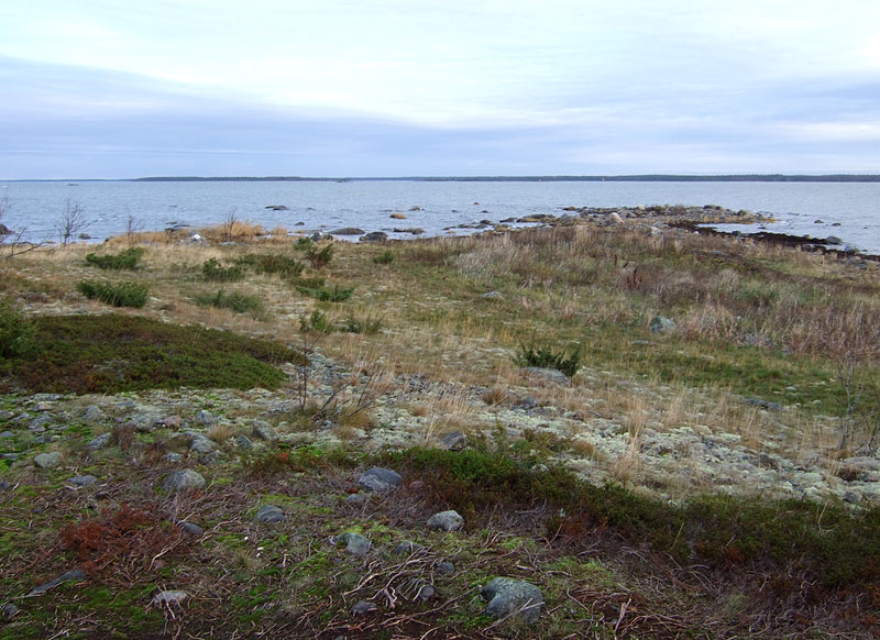 Pohjoisk&auml;rki