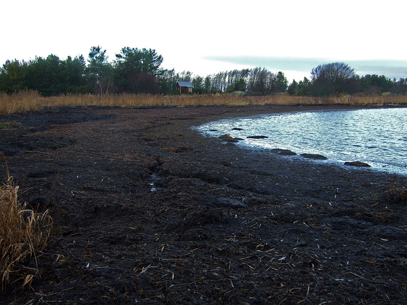 M&ouml;kki ja laguuni