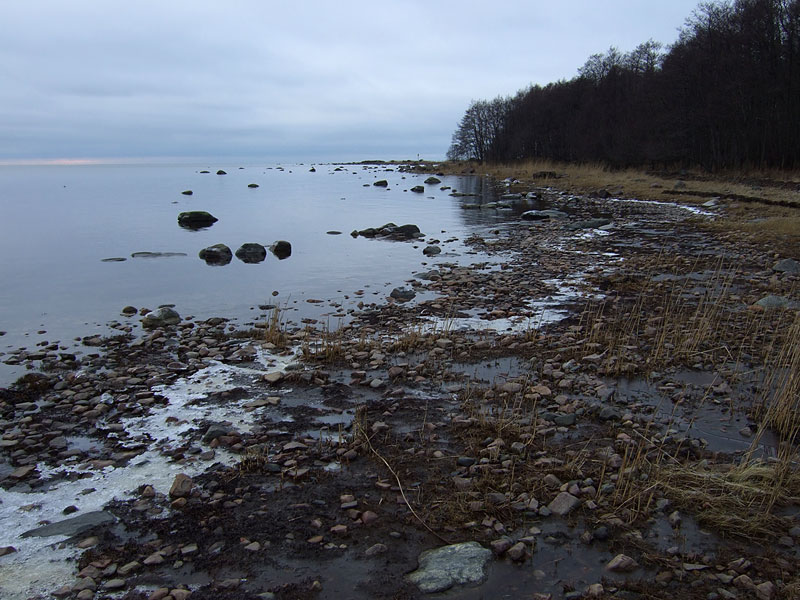 Lepist&ouml;