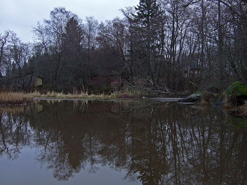 Suiston ainoat jäät Suiston ainoat jäät