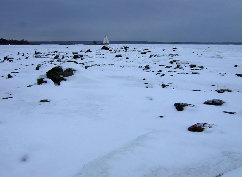 Selkpuora