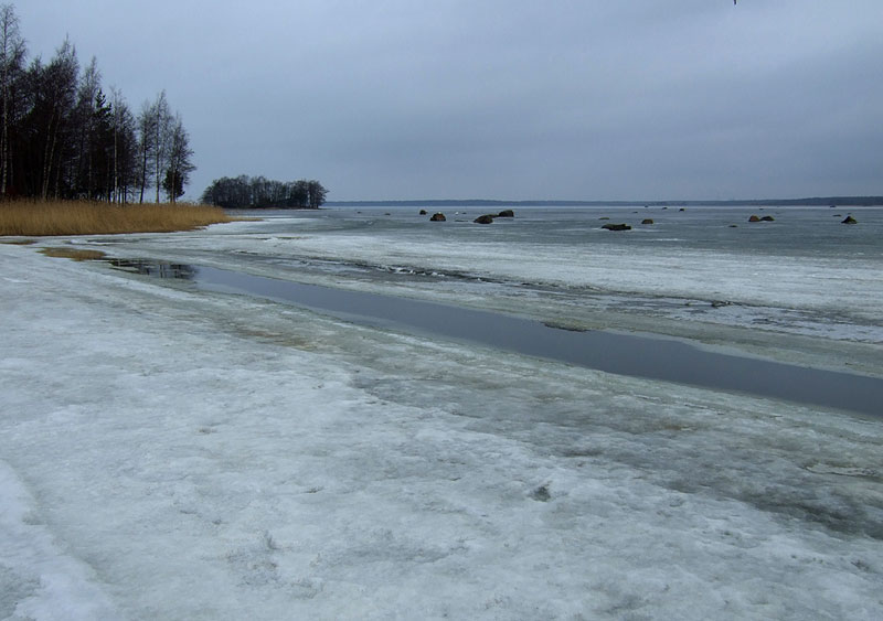 Eskon sis&auml;puoli