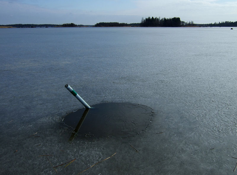 Reimari ja j&auml;&auml;t&auml;