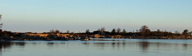 Steenkumppoosi