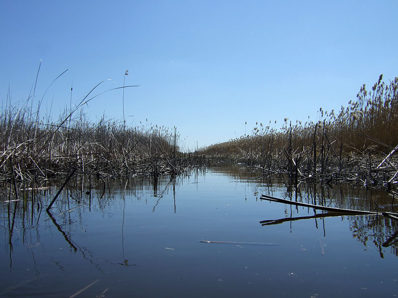 Karvianjuopa