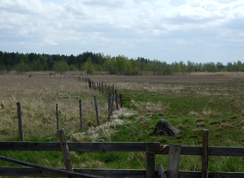 Linnun paikka