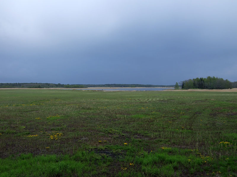 Riitsaranlahti