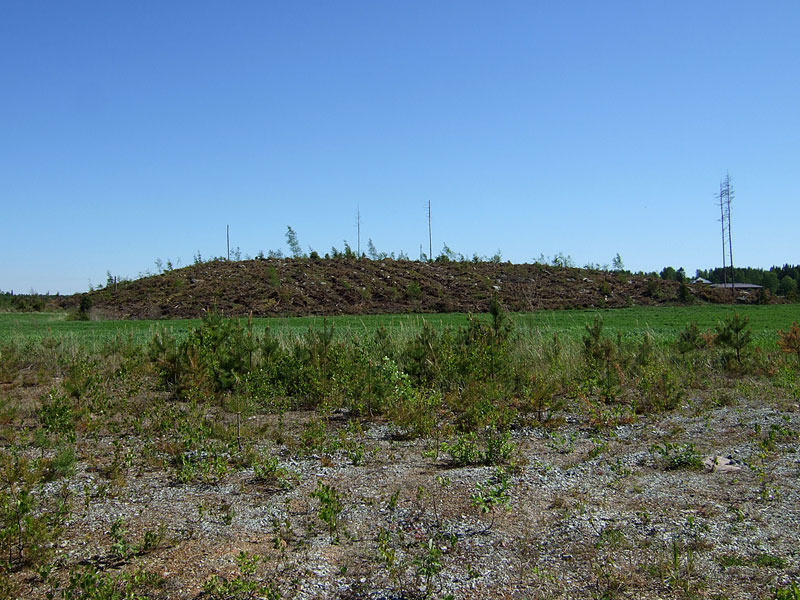 Vartholmi