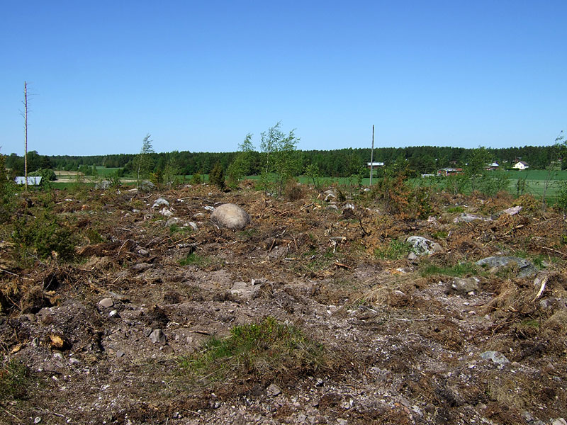 Pohjoiseen