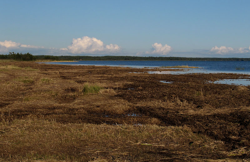 It&auml;inen ranta