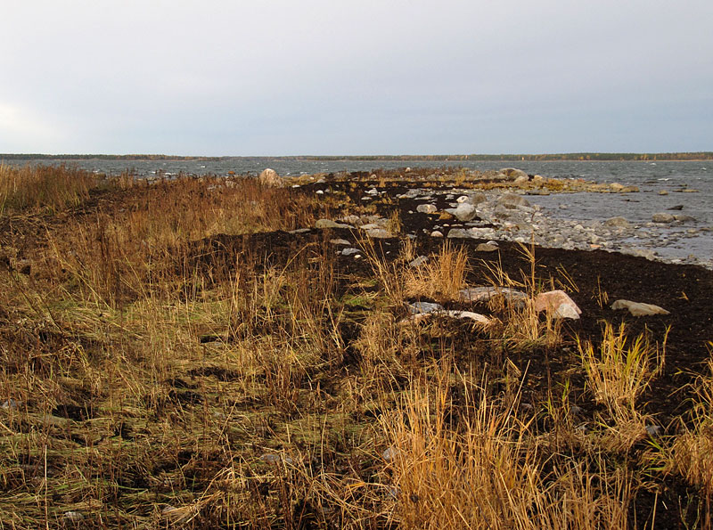 Pohjoisk&auml;rki