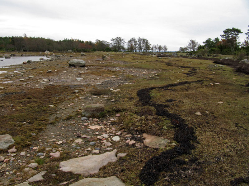 K&auml;rkilaguuni