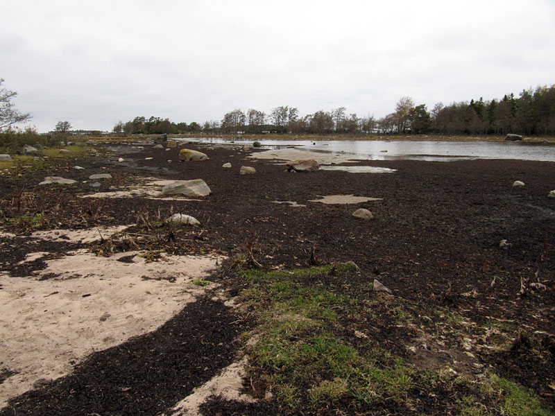 Etel&auml;laguuni