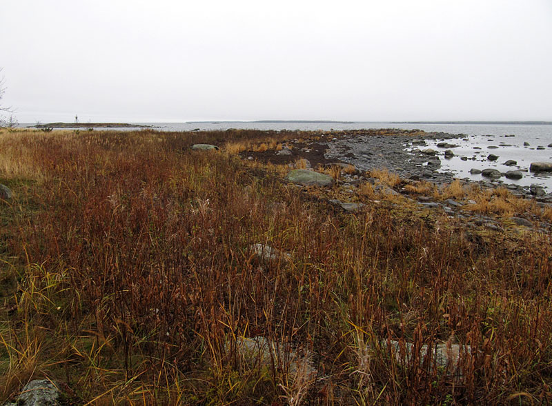 Domarkobben pohjoisk&auml;rki