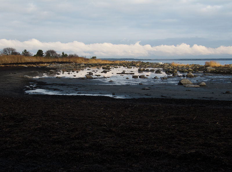Laguuni kuivilla