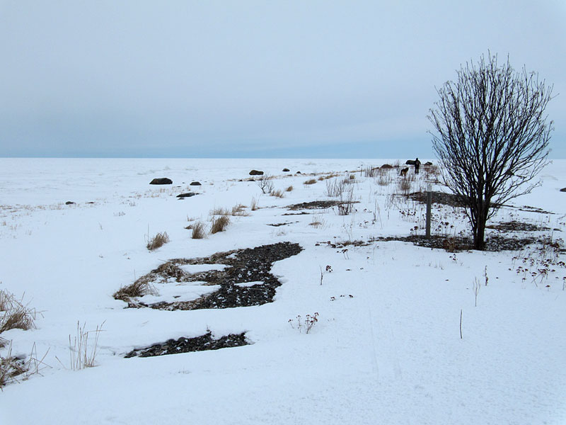 L&auml;nsik&auml;rki
