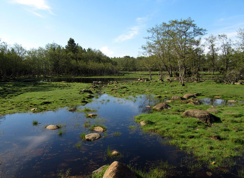Sis&auml;lampareet