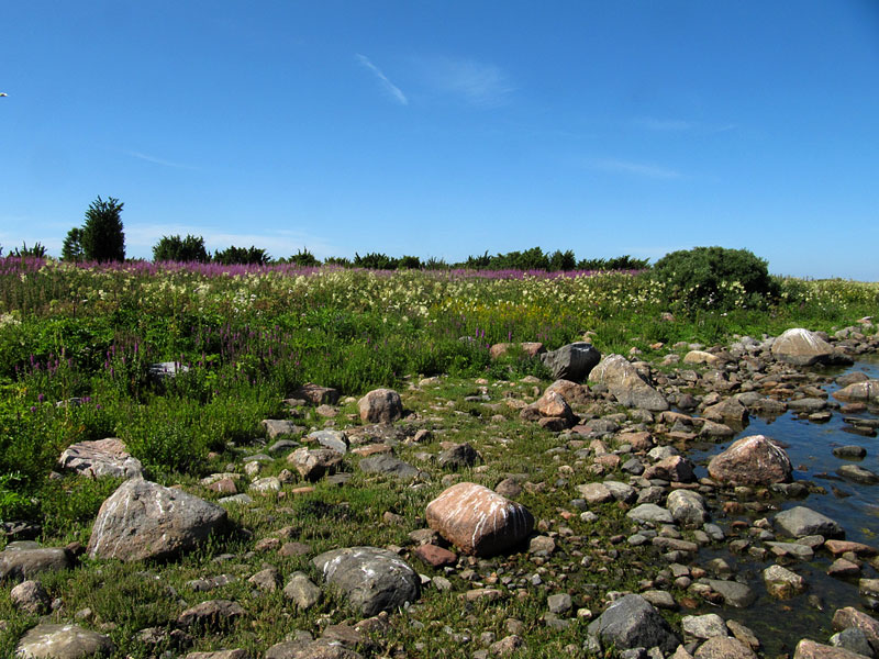 P&auml;ssinkarin rantaa