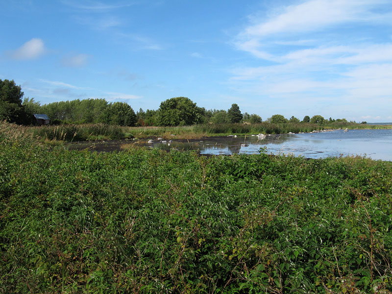 Laguuni ja m&ouml;kki
