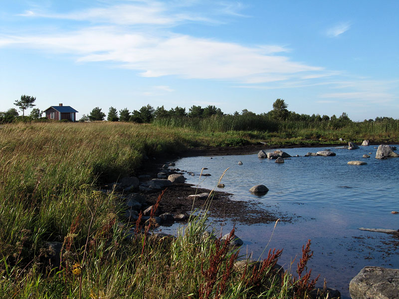 Trutklobbarna