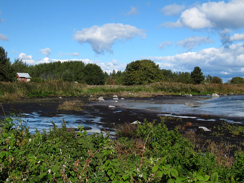 Laguuni ja m&ouml;kki