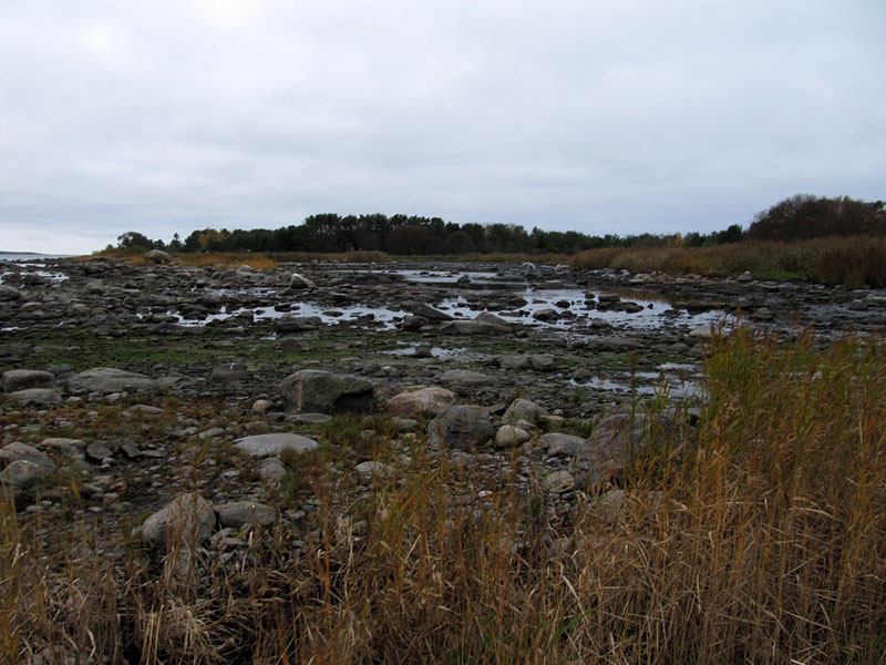 Laguuni