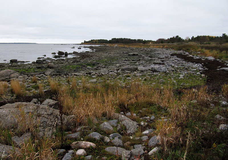 Pohjoisk&auml;rki