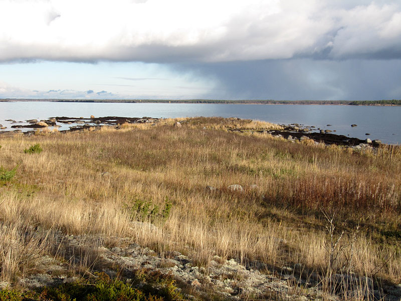 Domarkobbanin pohjoisk&auml;rki