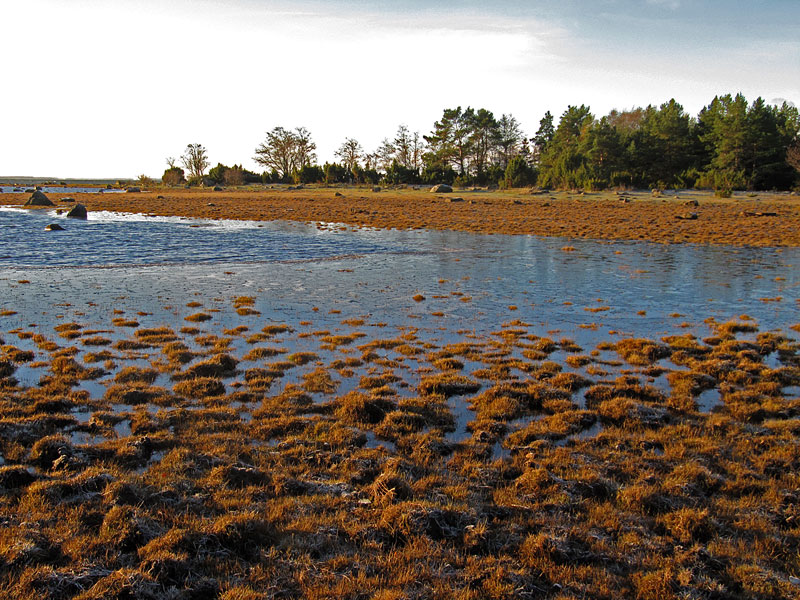 Etel&auml;laguuni