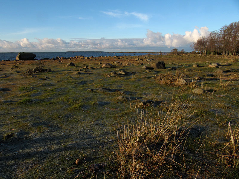 Etel&auml;niitty